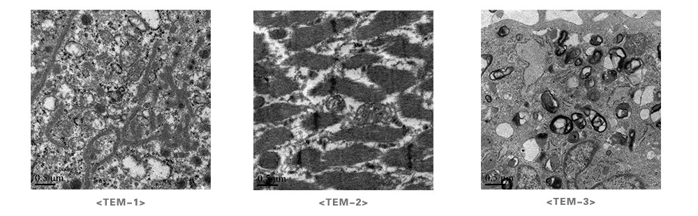 1652937625211586.jpg 1-210FQ55214461_副本.jpg